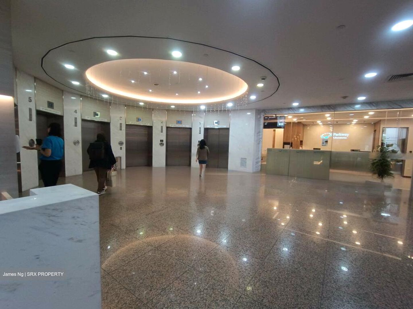 Gleneagles Hospital (D10), Retail #476912091